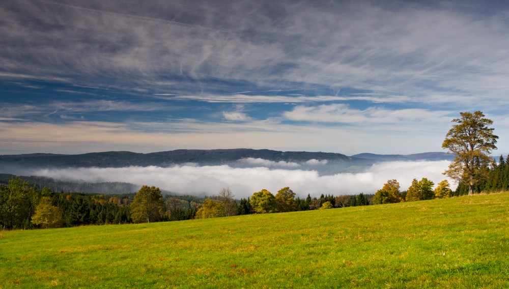 Šumava
