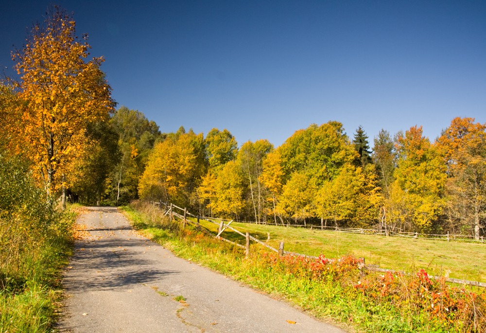 Šumava