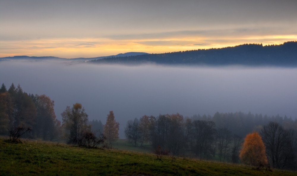 Šumava