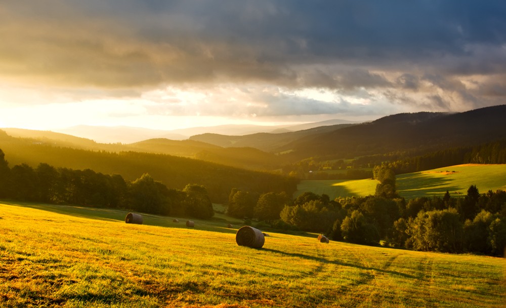 Šumava