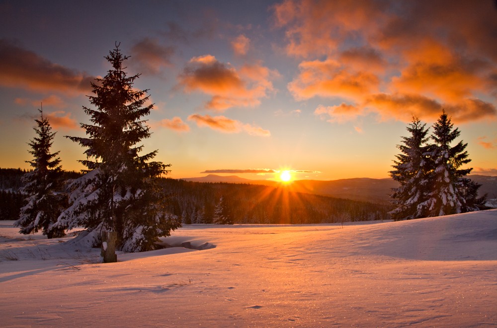 Šumava