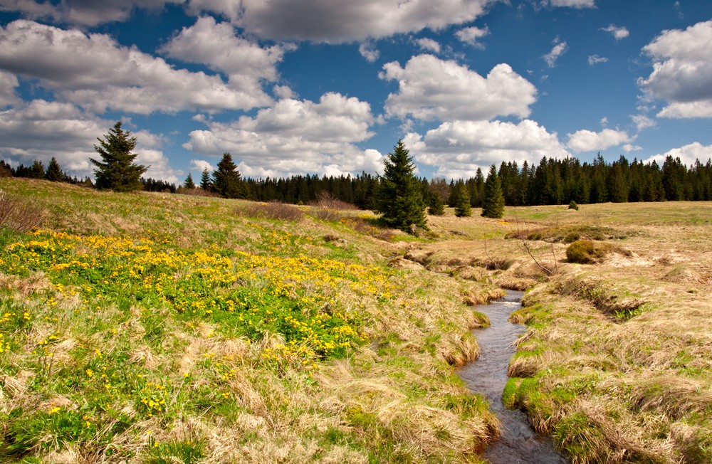 Šumava