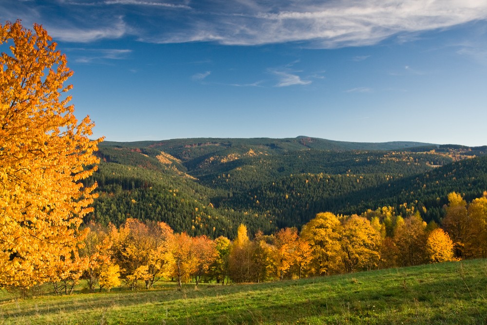 Šumava