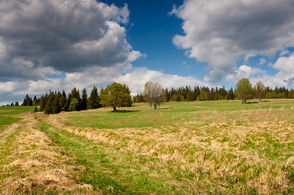 Šumava