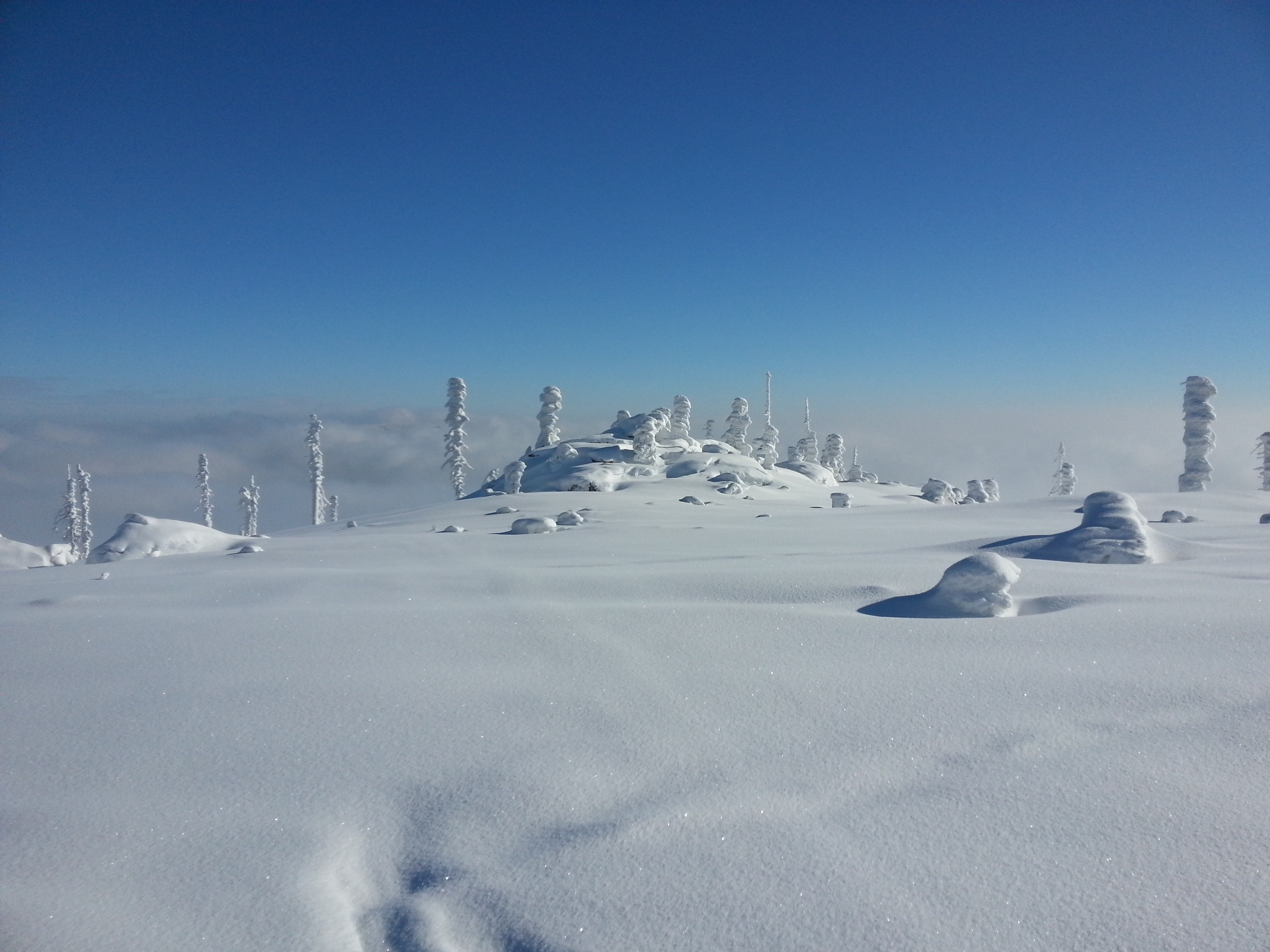 Šumava - Plechý