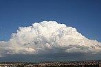 Cumulus congestus