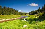 Šumava