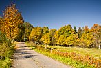 Šumava