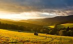 Šumava