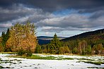 Šumava