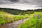 Šumava