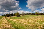 Šumava
