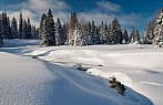 Šumava