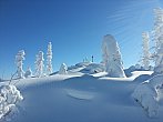 Šumava - vrchol Plechý