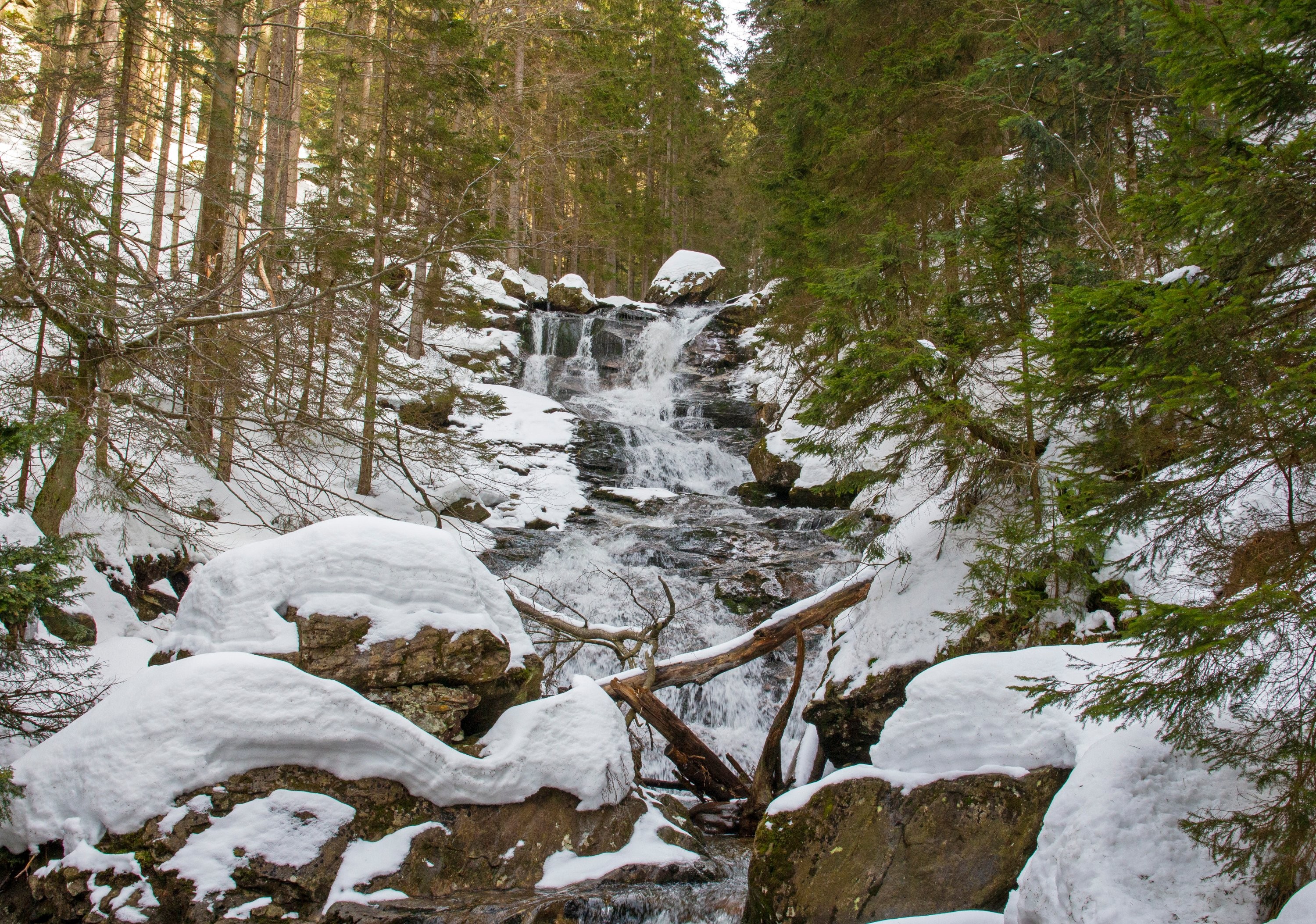 Rieslochfälle
