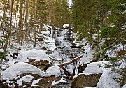 Rieslochfälle