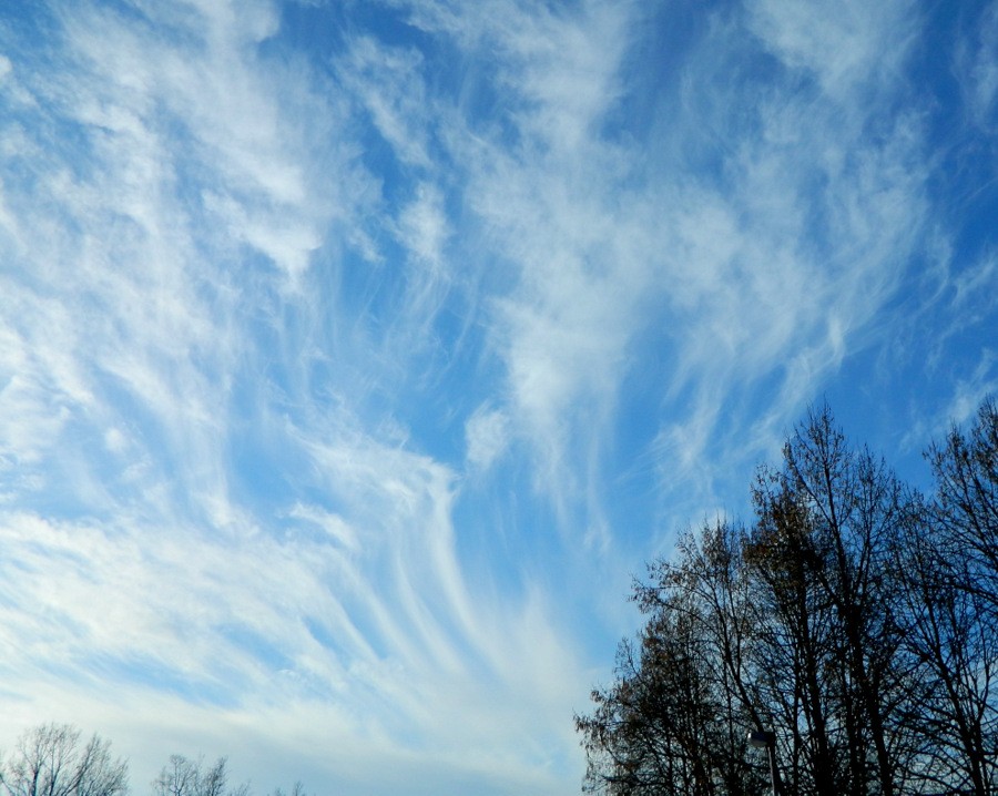 Cirrus