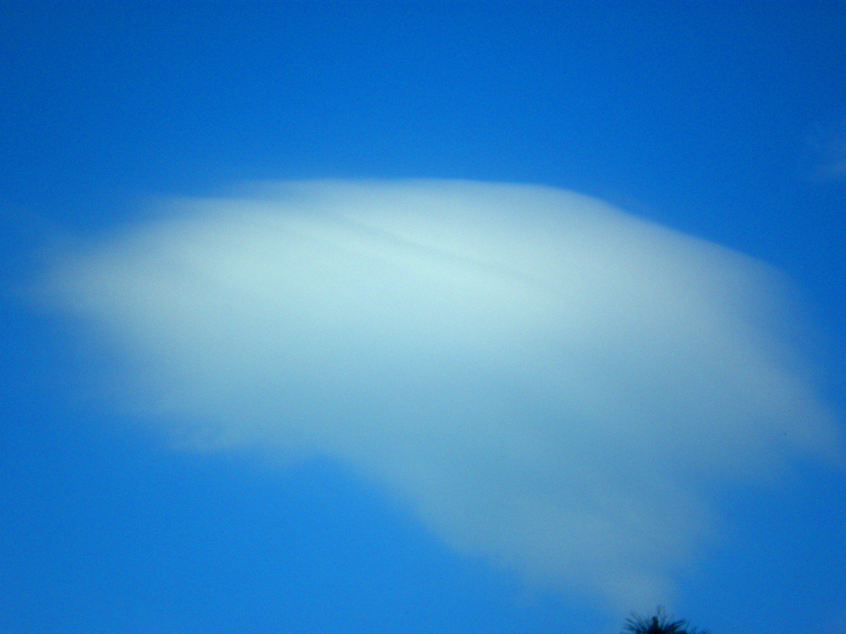 Altocumulus lenticularis 