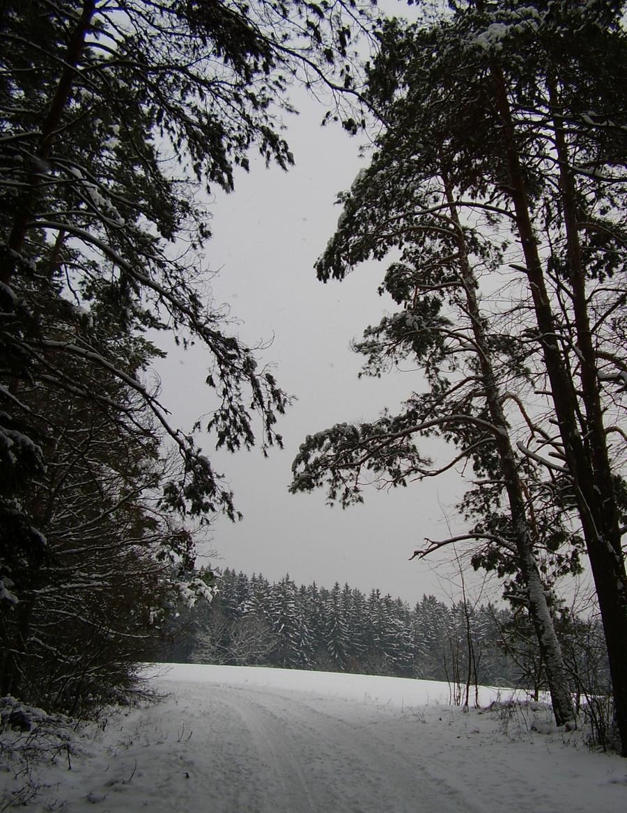 Nevšovský park