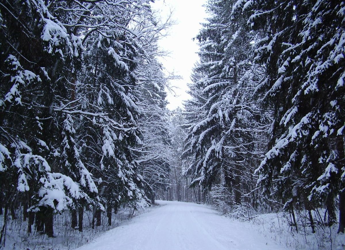 Nevšovský park