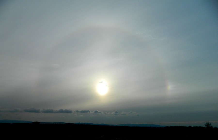 Malé halo