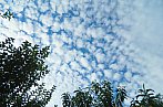 Altocumulus