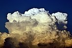Cumulus congestus