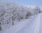 Zima