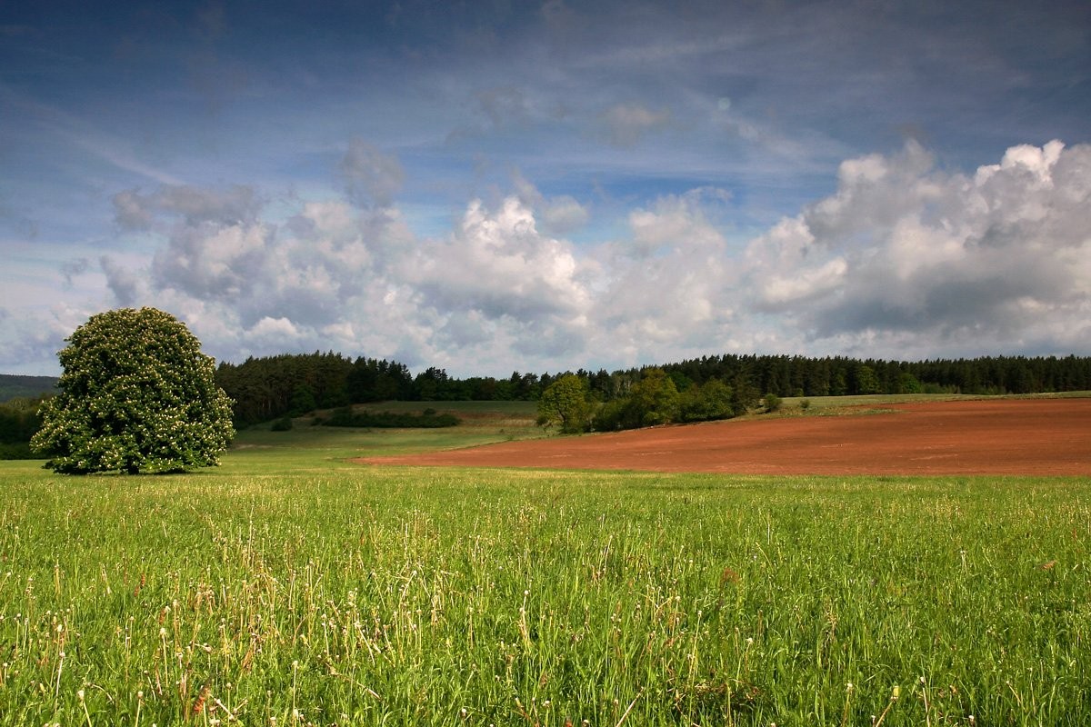 Nebílovy