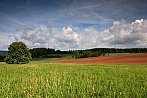 Nebílovy
