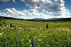 Kepelské Zhůří (Šumava)