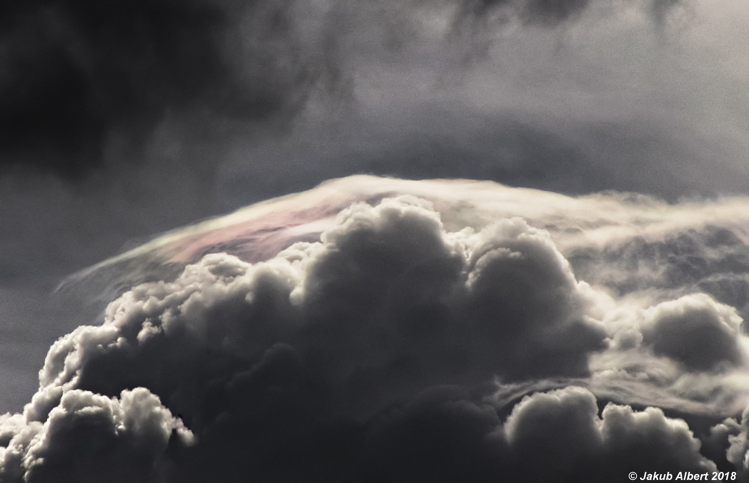 Pileus