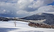 Zasněžená Šumava