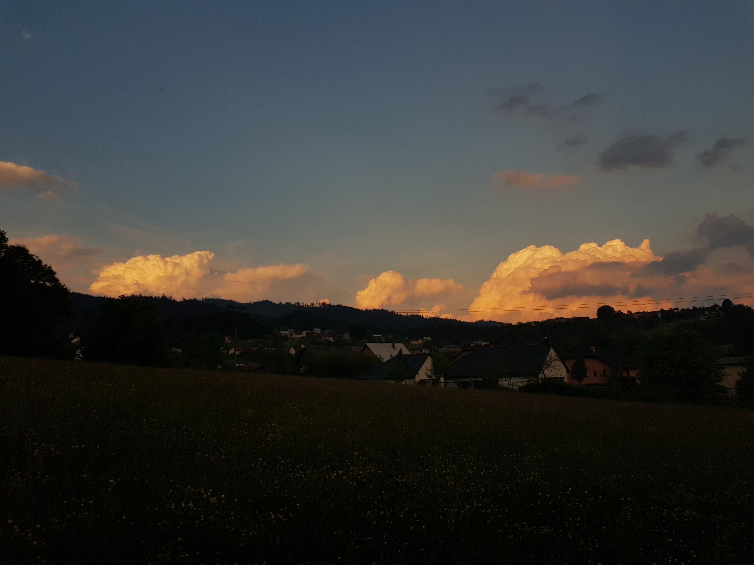 Cumulus congestus 