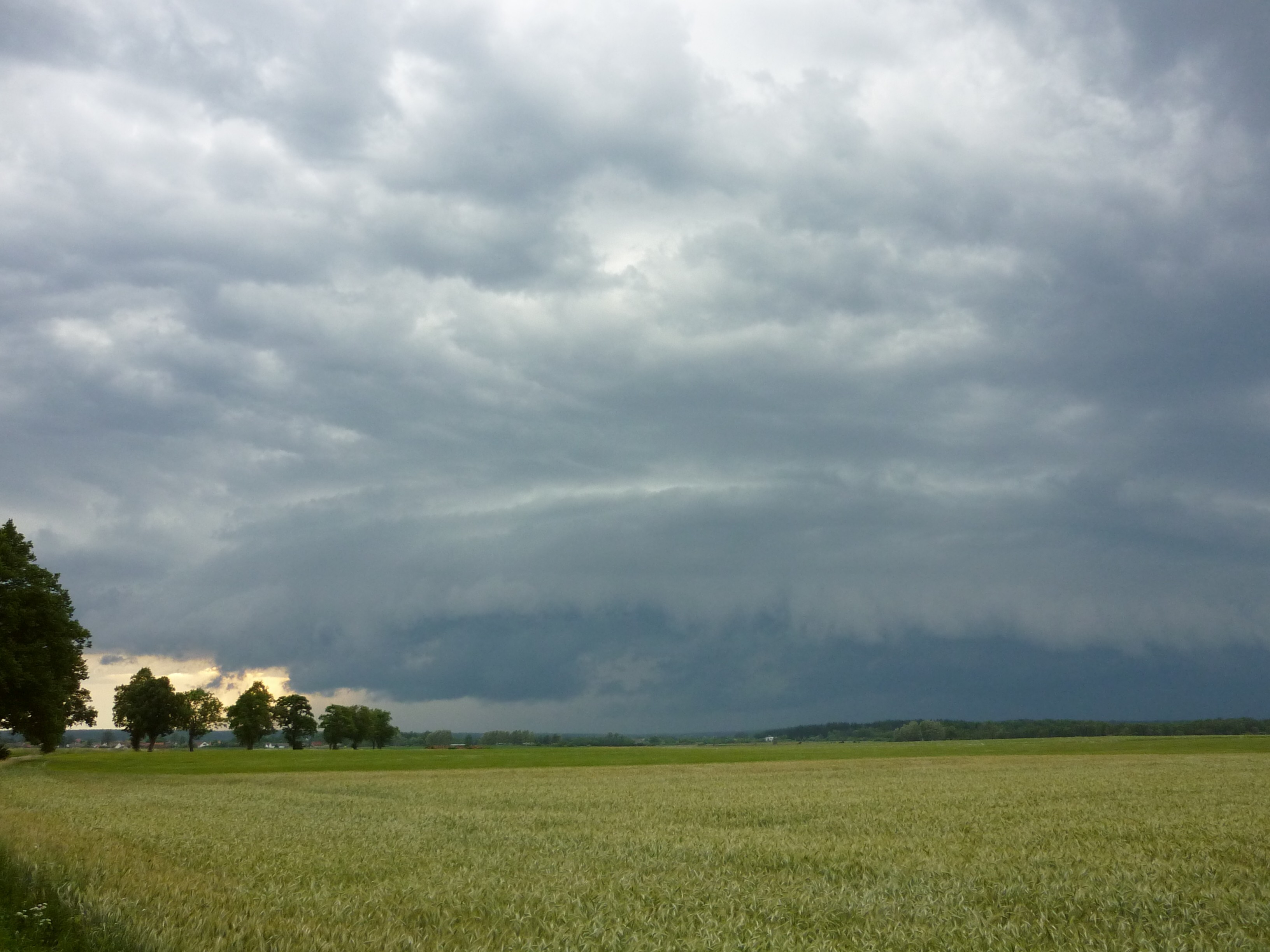 Cumulonimbus arcus
