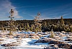 Šumava - konec zimy