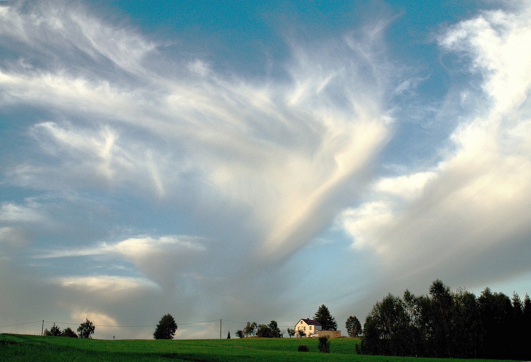 Cirrus - louka
