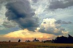 Cumulus - louka