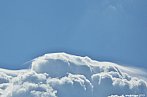 Pileus