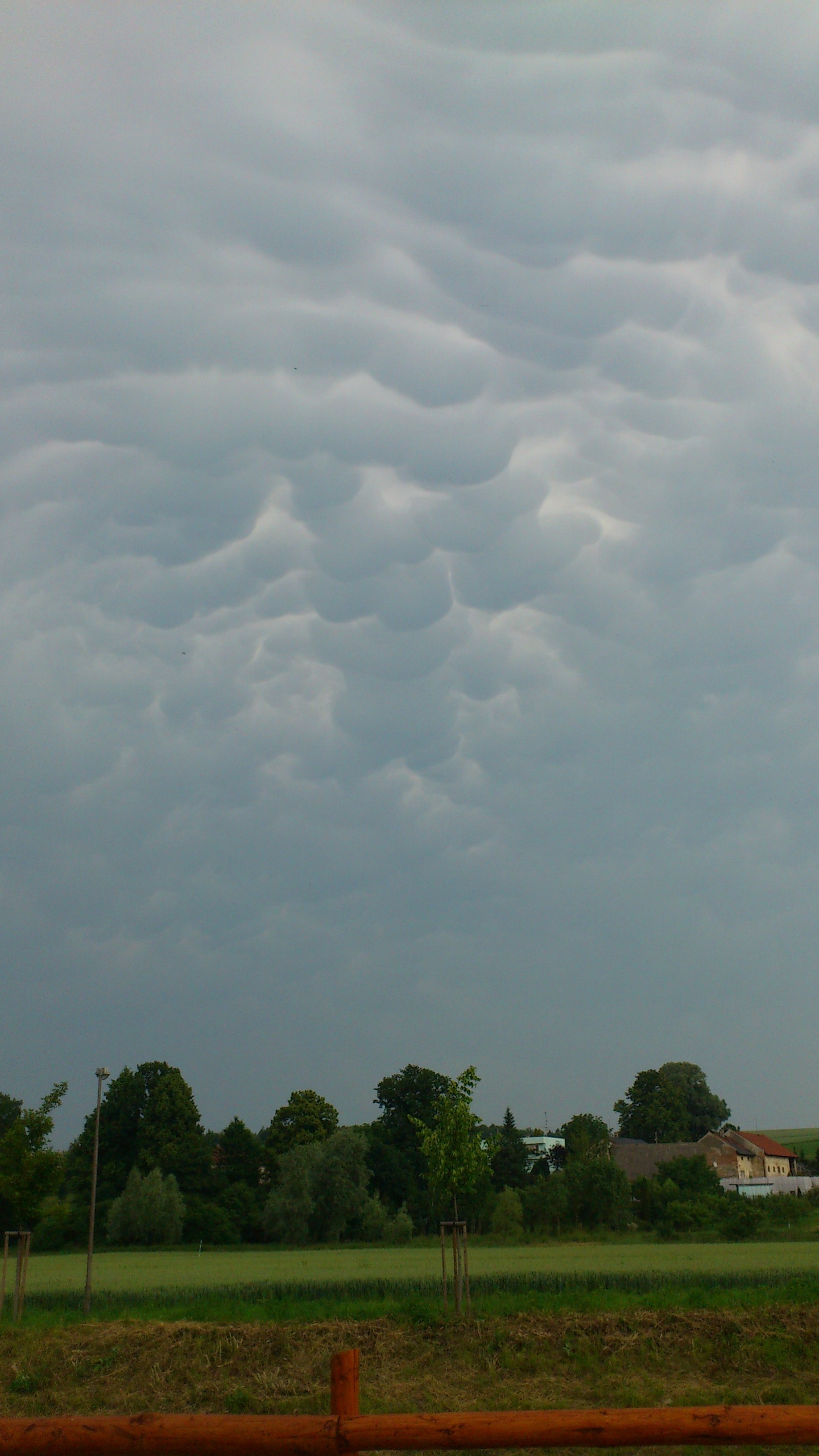 Cumulonimbus mamma