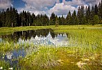 Šumava