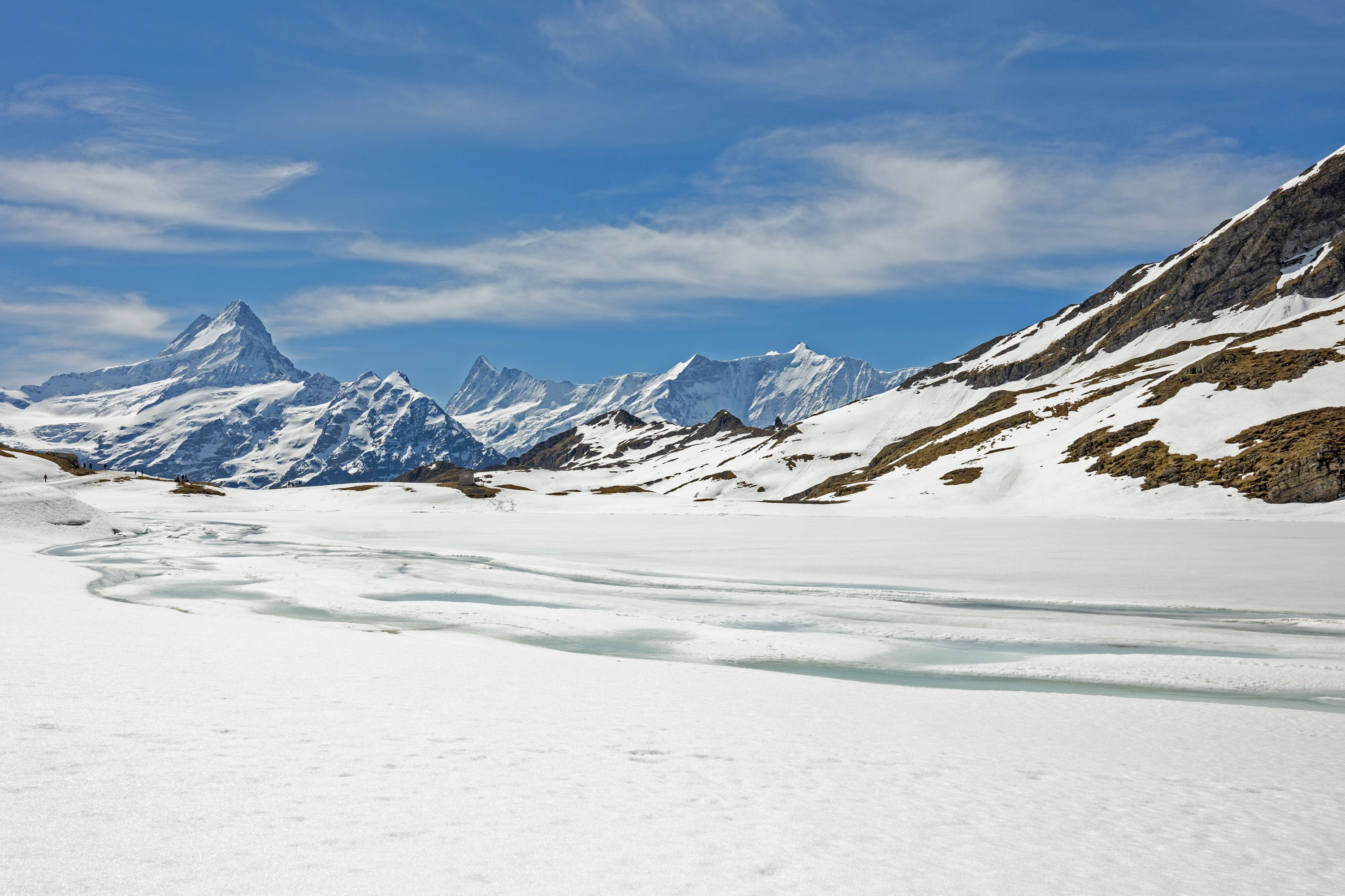 Bachsee