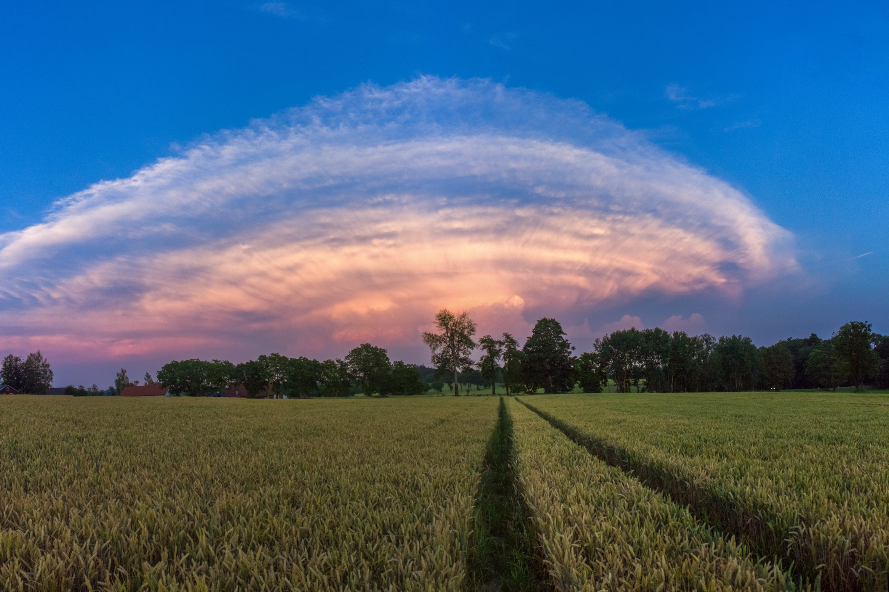 Bouřkový cumulonimbus