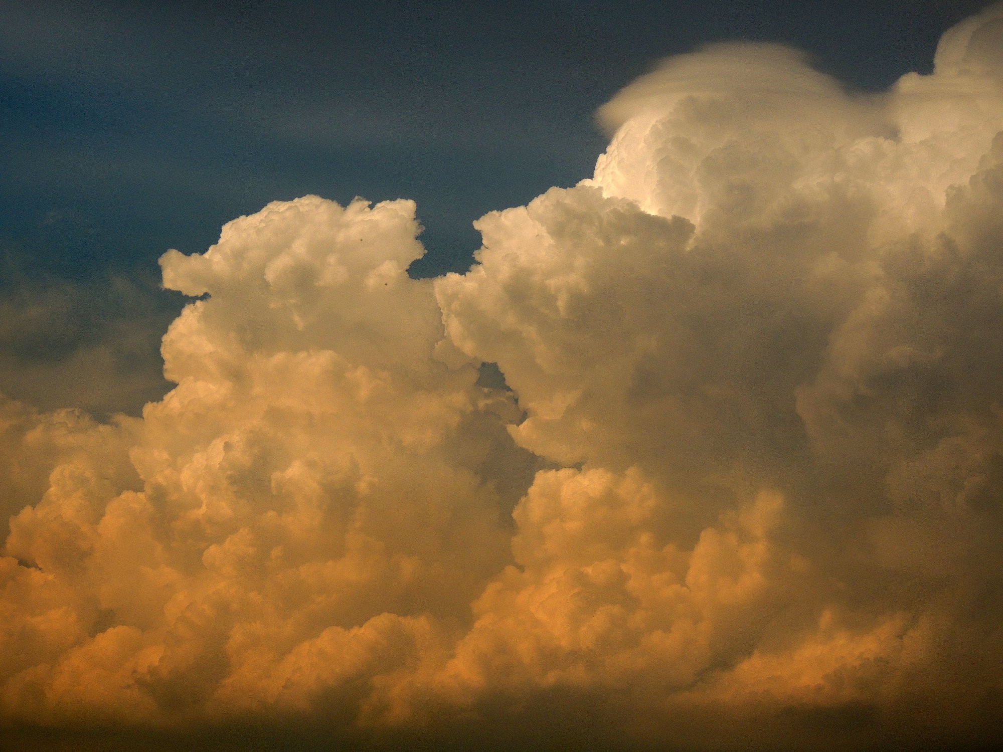 Pileus na Cb