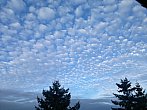 Altocumuly 10.7.2014