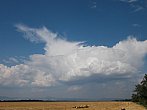 Cumulonimbus