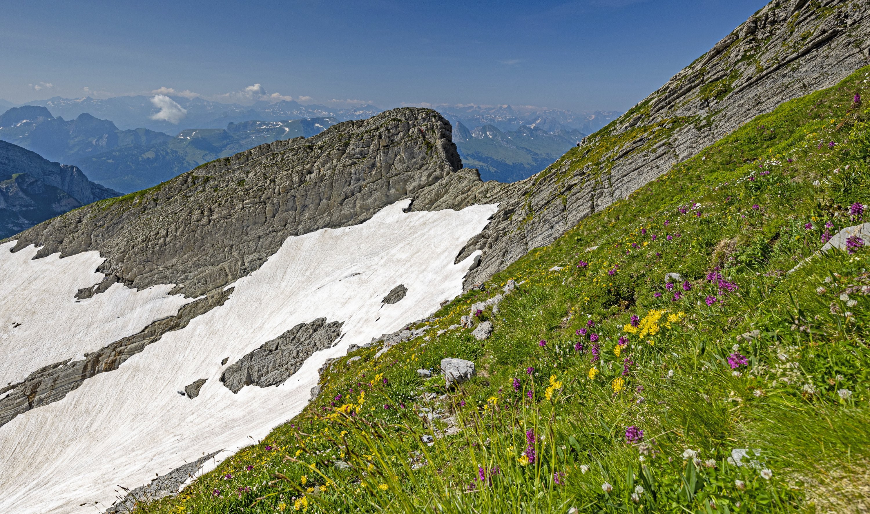 Säntis