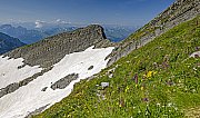 Säntis