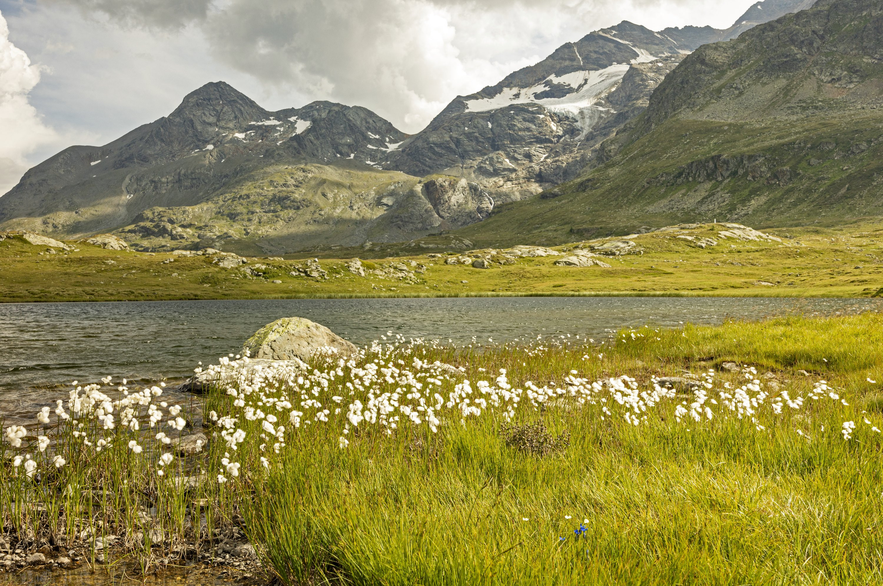 Bernina Pass