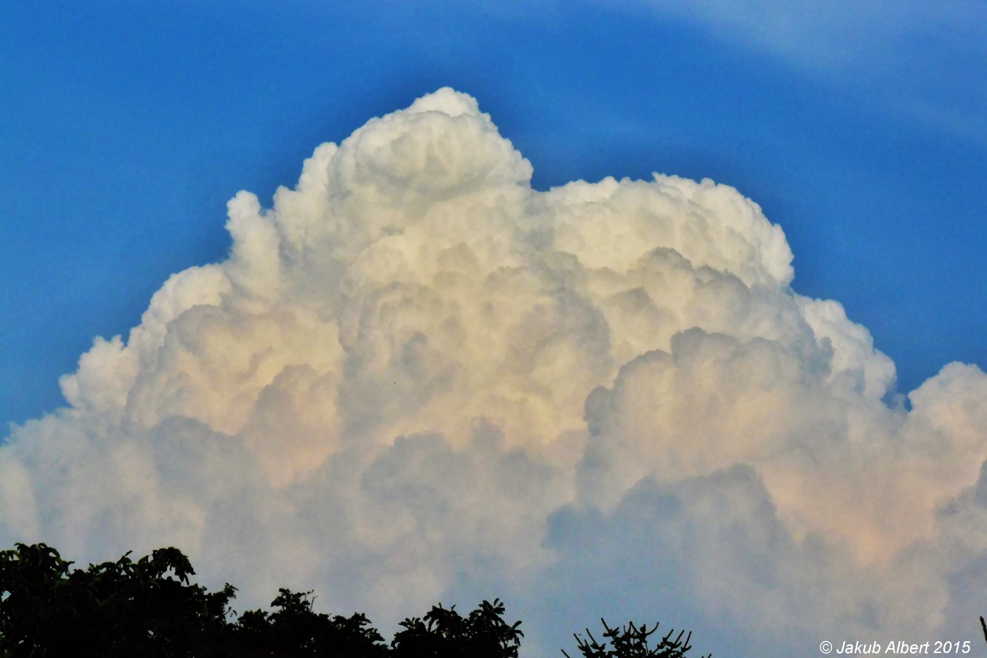Cumulus